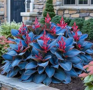 Хоста Грин Фог купить по цене от 669р. в интернет-магазине «Посадика» с доставкой почтой в в Кизляре и по всей России – [изображение №1].